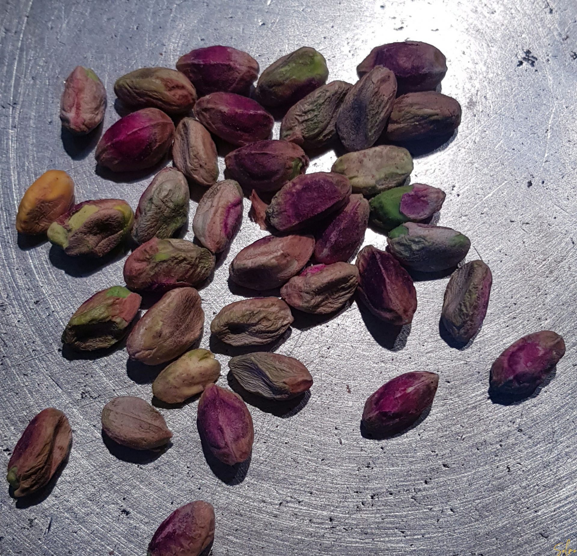 Condensed Milk Kheer Salma's Recipes Step by Step Recipes